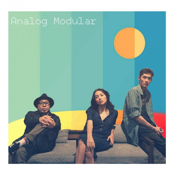 Analog Modular Photo