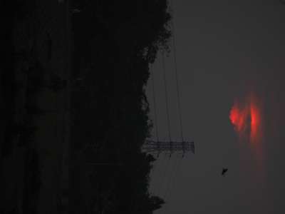 Burung terbang menuju menara 