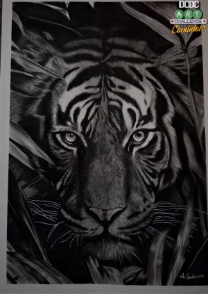Ralistis pencil drawing