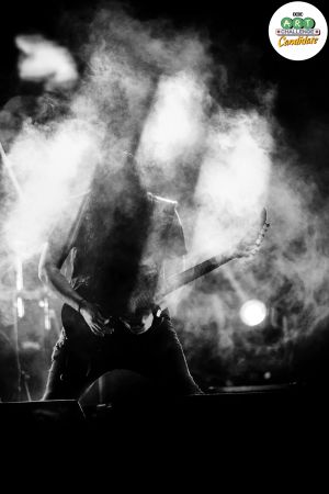 Stevy Item Dead Squad