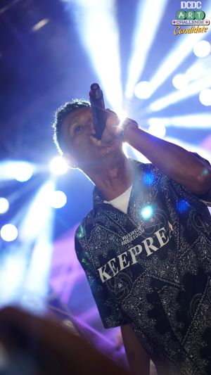 Warna Warni Meriah Panggung Alahan Panjang